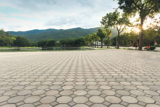 Best Custom Driveway Pavers  in Cahokia, IL